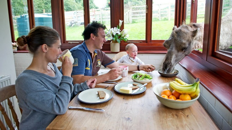 Rodinka pri raňajkách_radosť_ťava